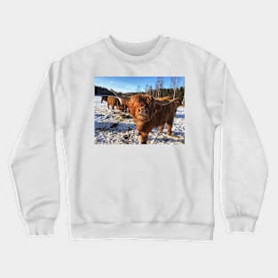 Scottish Highland Cattle Bulls 1939 Crewneck Sweatshirt